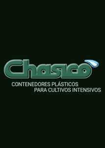 Chasico