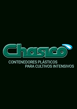 Chasicó