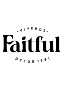 Faitful