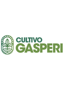 Gasperi