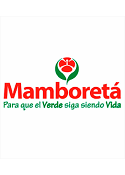 Mamboreta