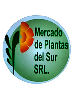 Mercado de Plantas del Sur