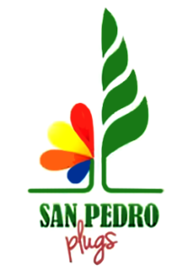 San Pedro Plugs