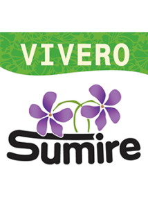 Sumire