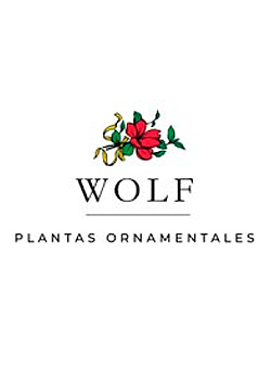 Vivero Leonardo Wolf