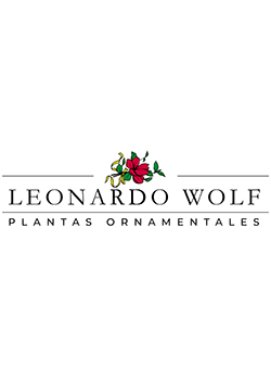 Vivero Leonardo Wolf