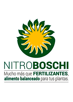 NitroBoschi