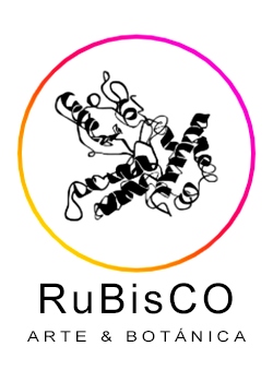 Rubisco Arte & Botánica