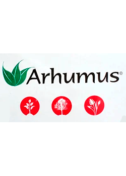 Arhumus