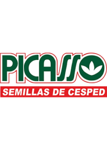 Picasso
