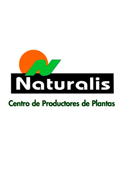 Naturalis