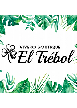 Vivero Boutique El Trebol