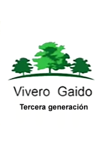 Vivero Gaido San Pedro