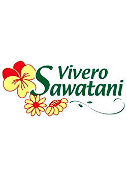 Vivero Sawatani