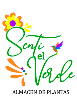 Senti el Verde – Almacén de plantas