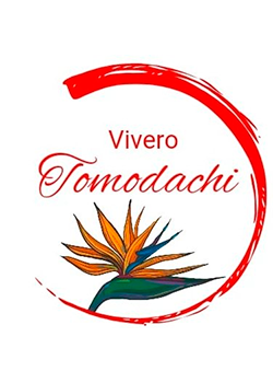 Vivero Tomodachi