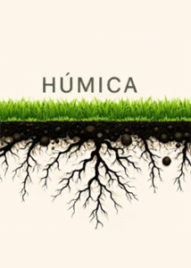 Húmica