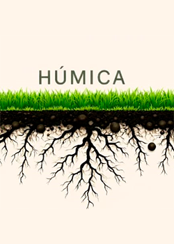 Húmica