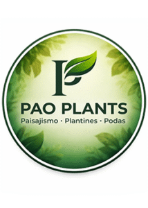 Pao Plants