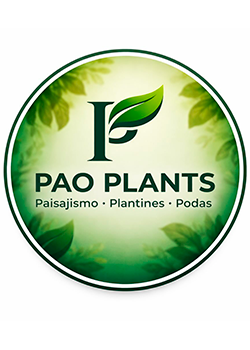 Pao Plants