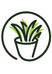 Vivero Abuelo Carlos